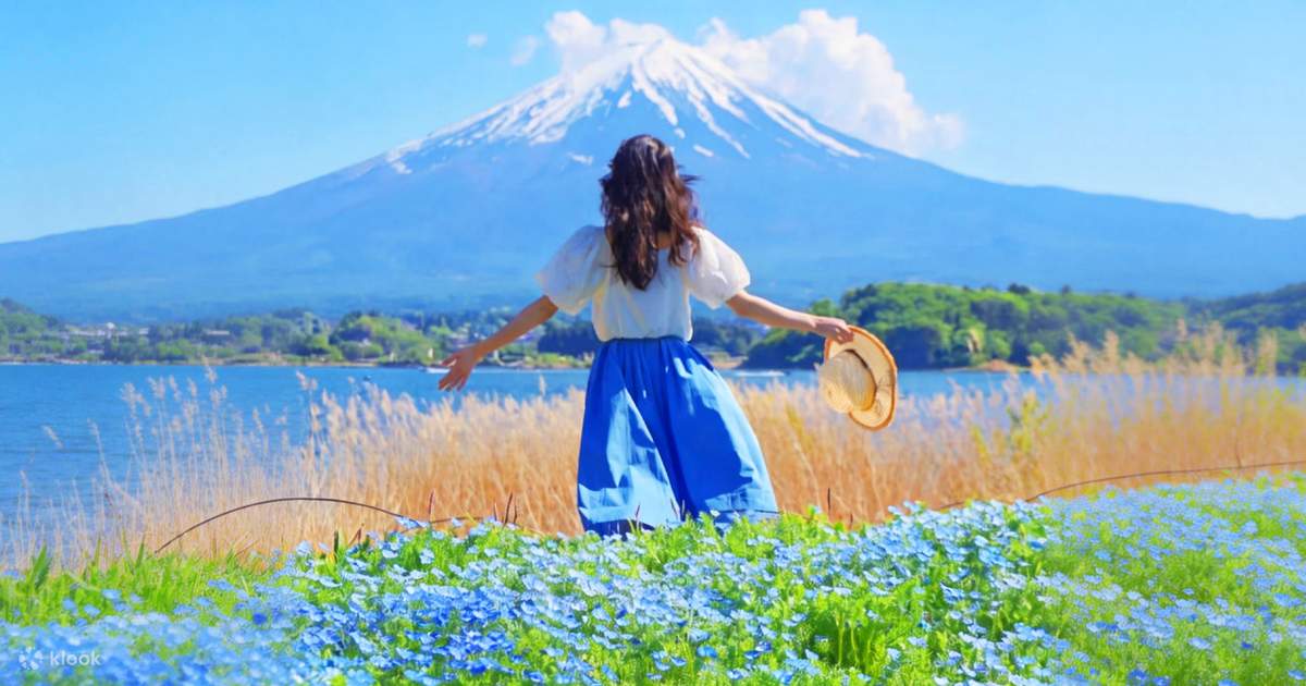 Instagram-Worthy Mt. Fuji & Kawaguchiko Four Seasons Flower Tour